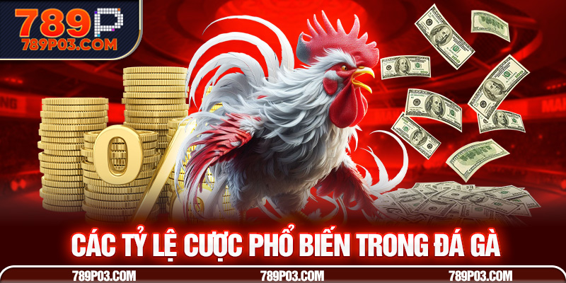 Các tỷ lệ cược phổ biến trong đá gà