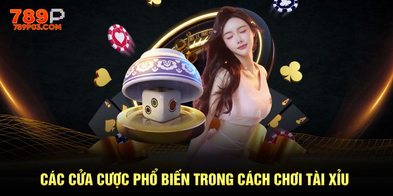 Những cửa cược phổ biến và thú vị trong cách chơi tài xỉu
