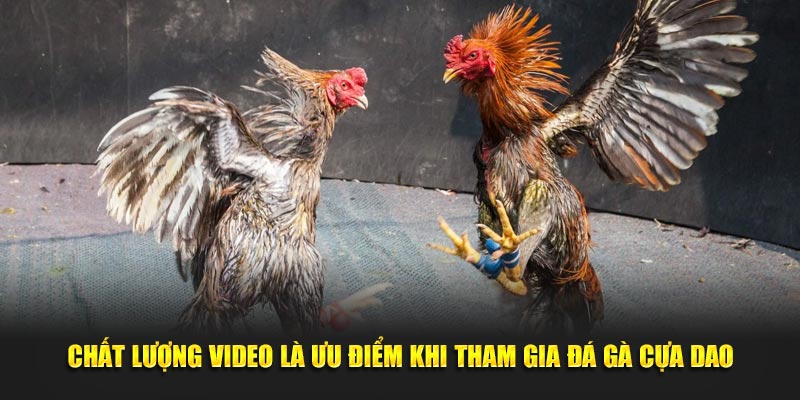 Chất lượng video là ưu điểm khi tham gia trải nghiệm bộ môn