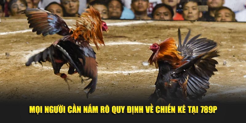 Mọi người cần nắm rõ quy định về chiến kê tại 789P