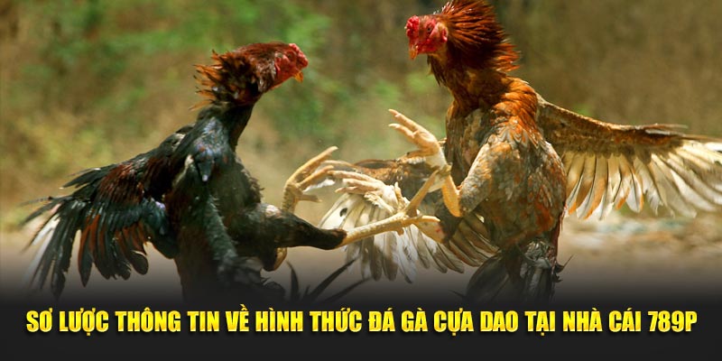 Sơ lược thông tin về hình thức giải trí cuốn hút tại hệ thống